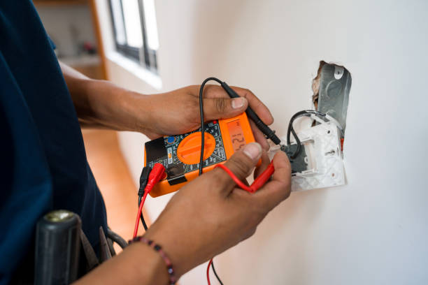 Best Licensed Electrician  in Ludington, MI