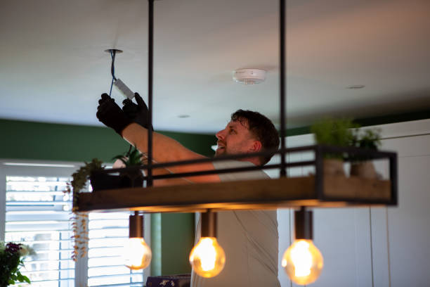 Best Generator Installation Services  in Ludington, MI