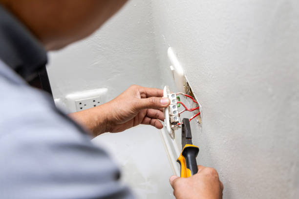 Best Electrical System Inspection  in Ludington, MI